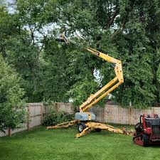 Best Tree Health Inspection  in Emporium, PA